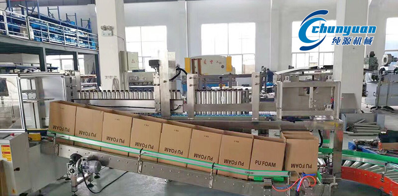 裝箱機(jī)，挑選裝箱機(jī)，純?cè)囱b箱機(jī)，純?cè)礄C(jī)械